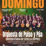 CONCIERTO Orquesta de Pulso y Púa – 25/10/26
